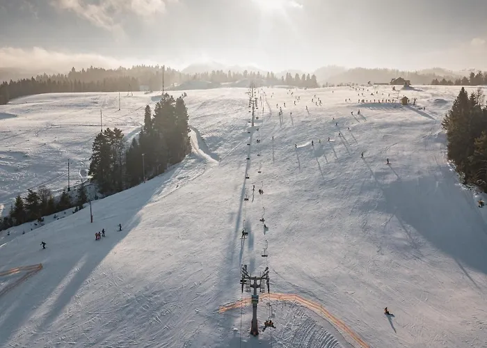 Czeremcha - Ostoja Bukowinki